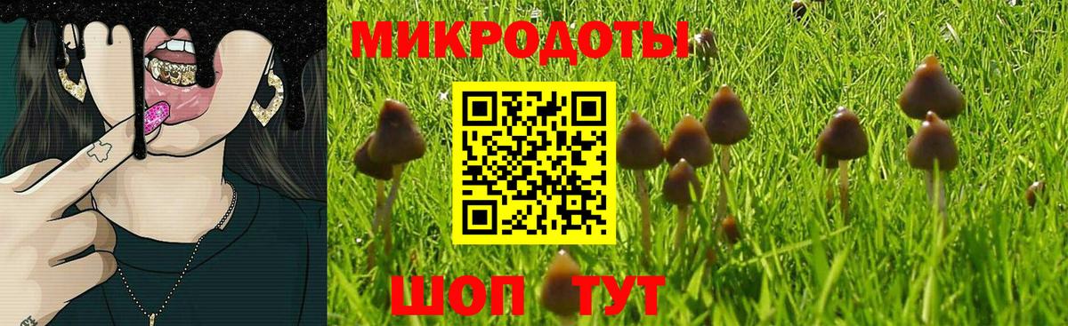 Галлюциногенные грибы MAGIC MUSHROOMS Мурино